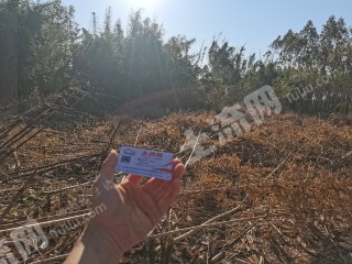 江门恩平市30亩水产养殖用地经营权出租