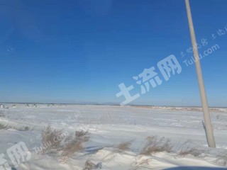 黑河嫩江县10000亩旱地出租