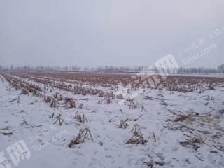 黑河嫩江县28000亩旱地经营权出租