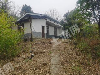 长沙岳麓区1200平米农村宅基地使用权出租