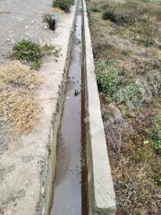 来宾武宣县460亩旱改水水田经营权出租