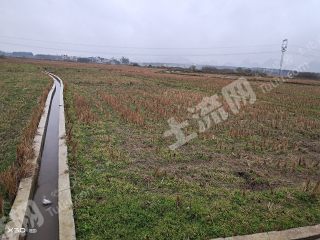 来宾武宣县 2000亩 水田 经营权出租