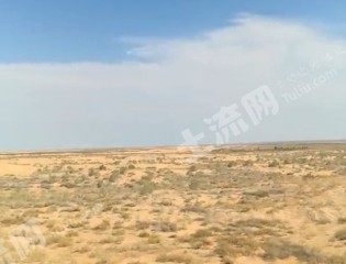 包头达尔罕茂明安联合旗 7000亩 灌木林地 经营权出租