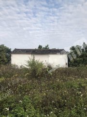 惠州惠东县增光40平米农房带200平菜地使用权出租