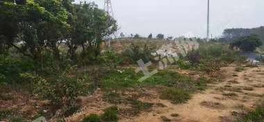 江门开平市170亩综合养殖用地经营权流转