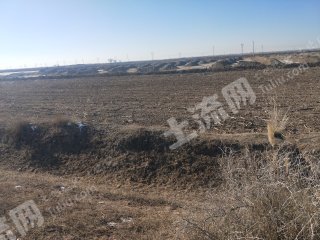 巴彦淖尔乌拉特中旗 150.91亩 水浇地 经营权出租