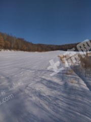 呼伦贝尔鄂伦春自治旗200亩旱地经营权转让