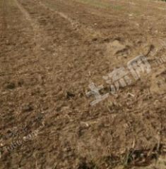 山东济宁 7.2亩 水浇地 出租