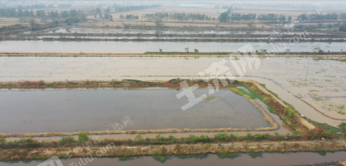 南昌新建区1500亩水田经营权出租