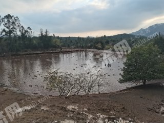 江门台山市20亩畜牧养殖用地经营权出租