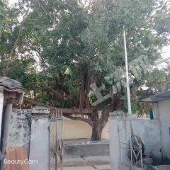 海南東方市415平米農(nóng)村宅基地使用權(quán)合作