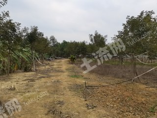 江门恩平市120亩其它耕地经营权流转