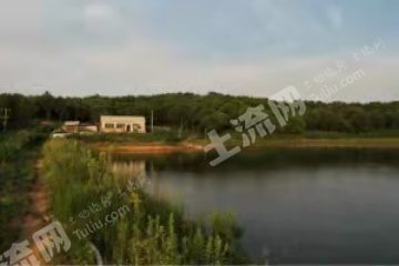 通化梅河口500亩有林地经营权转让