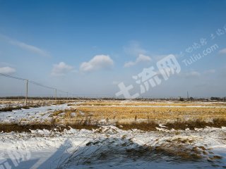 呼伦贝尔阿荣旗2000亩水田经营权出租