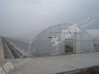 乌兰察布商都县18亩菜园出租