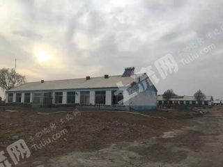 呼伦贝尔阿荣旗210亩综合养殖用地转让