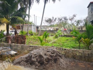 海南瓊海市150平米農(nóng)村宅基地使用權(quán)出租