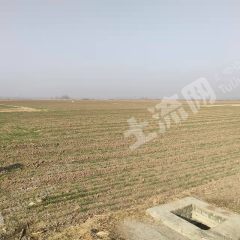 潍坊高密市3200亩水浇地经营权出租