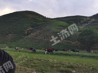 乌兰察布卓资县 37564.64亩 农场 使用权出租