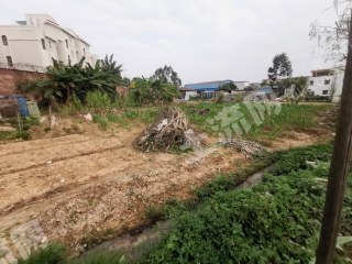 肇庆高要区 194平方米 农村宅基地 使用权出租