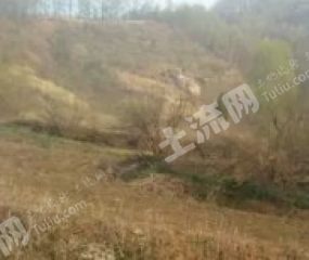 山东济宁 13亩 畜牧养殖用地 合作