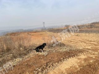 长治沁县120亩荒地经营权出租