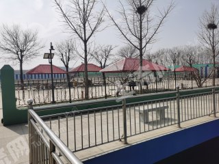 烟台福山区 90.35亩 其它园地 经营权转让