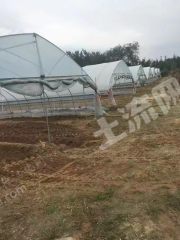 高青县12亩菜园经营权出租