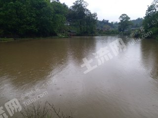 (優(yōu)質(zhì)1號(hào)地源)重慶巴南區(qū)30畝度假山使用權(quán)出租