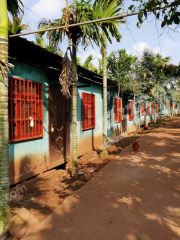 儋州那大镇 138亩 乔木林地 经营权转让