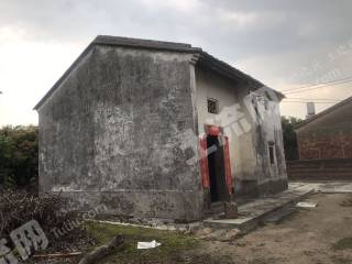 惠东增光100平米农家庭院带几颗果树使用权出租