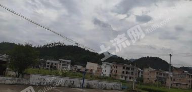 南昌安义县1200亩经济林地经营权转让