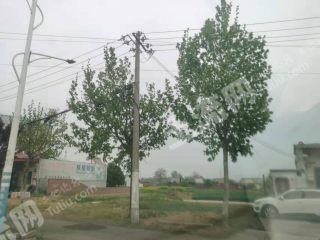 河南许昌禹州200平米宅基地建设用地使用权转让