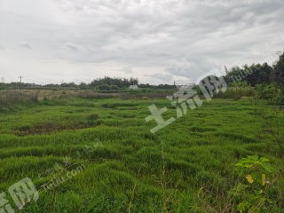 梅州兴宁市 140亩 水田 经营权出租