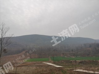 许昌禹州市 400亩 荒山 使用权出租