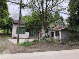 郫都區(qū)江安河附近250平院帶屋后4分耕地（可做花園）使用權(quán)出租