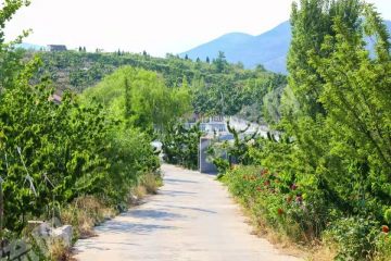 沂源县500亩整山经营权转让