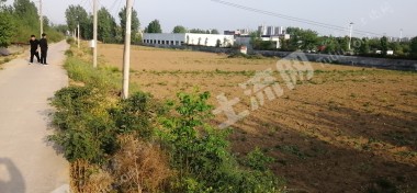 15亩市区城边可做大棚种植水浇地经营权出租