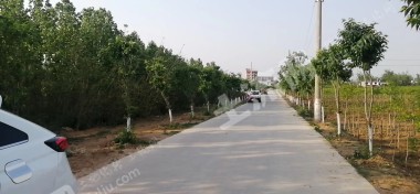 900亩片区开发建设用地使用权转让