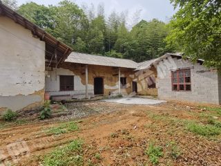 长沙岳麓区白若铺镇1500平米农房出租