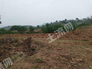 长治武乡县 600亩 荒地 使用权出租