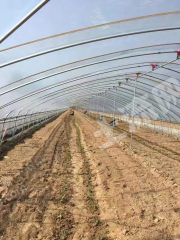 高青县15亩大棚经营权出租