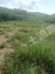 梁化鎮(zhèn)5畝環(huán)境優(yōu)美農(nóng)村宅基地使用權(quán)轉(zhuǎn)讓