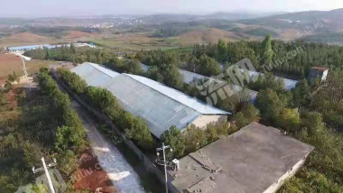 郴州嘉禾县 1000亩 人工牧草地 经营权转让