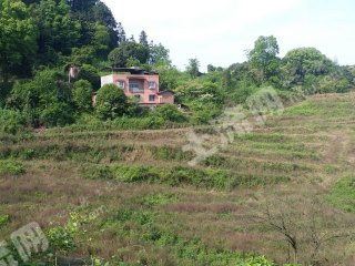 重庆巴南区150平米农家庭院出租