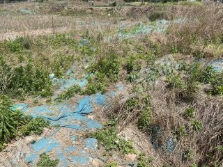 郑州金水区90亩空闲用地使用权出租