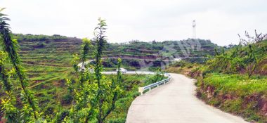 贵州清镇500亩李子园经营权转让