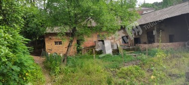 长沙开福区 220平米 农家庭院 出租