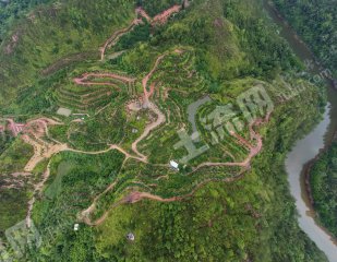 梅州梅县区 80亩 果园 经营权转让