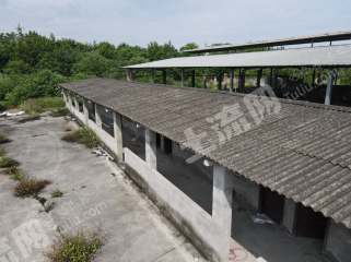 新津35亩养殖用地经营权对外出租